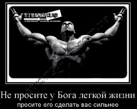 Сывороточный протеин как принимать