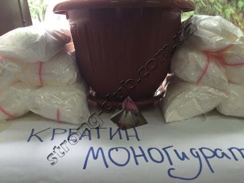 Какой креатин лучше купить