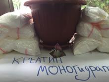 Який креатин краще купити